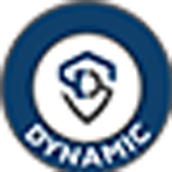 Logo Dynamic Services & Security Limited
