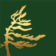 Logo Northfield Capital Corp.
