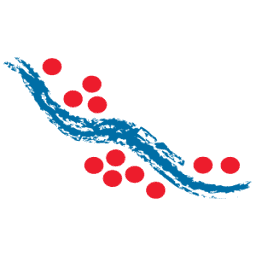 Logo Laramide Resources Ltd.