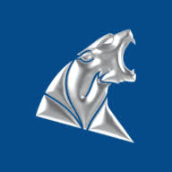 Logo Wildcat Resources Ltd.