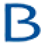 Logo Brain & Spine Foundation