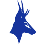 Logo Tesoro Gold Ltd.