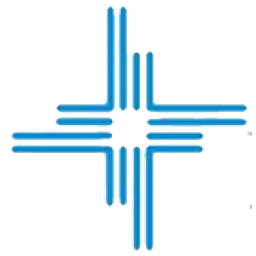 Logo Hana Microelectronics Public Co., Ltd.