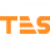 Logo TES 2000 Ltd.