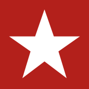 Logo Big Star Ltd. Sp zoo