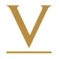 Logo Vunani Ltd.
