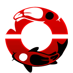 Logo Rubfila International Ltd.