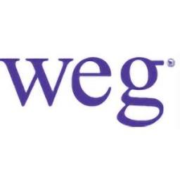Logo The Washington Economics Group, Inc.