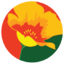 Logo The Whole Wheatery LLC