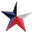 Logo County of Dallas (Texas)