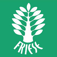 Logo FRIESE GmbH