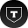 Logo TCS Holding IPJSC