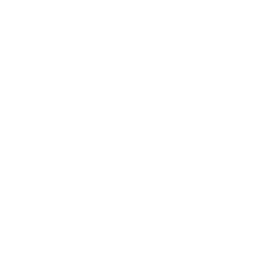 Logo Spectranetics International BV