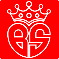 Logo Bai Sha Technology Co., Ltd.