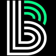 Logo Big Brothers Big Sisters of Metro Atlanta
