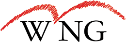Logo Wireless Network Group, Inc.