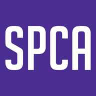 Logo Society for the Prevention of Cruelty to Animals of Texas