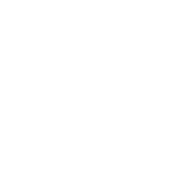 Logo The Renaissance Cos.