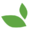 Logo Oasis Institute