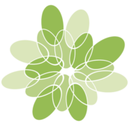Logo Novimus Oy