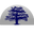 Logo Financial Solutions Group, Inc.