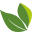 Logo Garden Organic