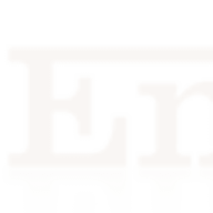 Logo Enzo Ltd.
