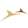 Logo NorthIsle Copper & Gold, Inc.
