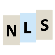 Logo Next Level Strategies, Inc.