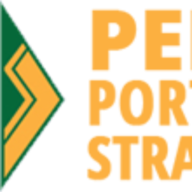 Logo Pento Portfolio Strategies LLC