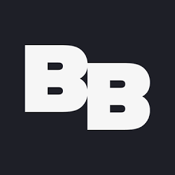 Logo Brave Bison Group Plc
