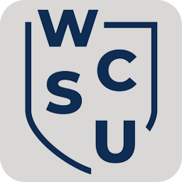 Logo Ancell School of Business
