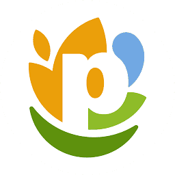 Logo PepsiCo Consulting Polska Sp zoo
