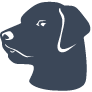 Logo Galvin Consulting, LLC
