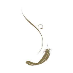 Logo Discovery Primea Condominium Corp.