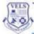 Logo Vels University