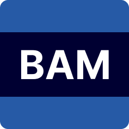 Logo BAM Technologies LLC