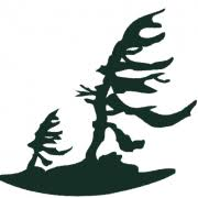 Logo Trails Youth Initiatives