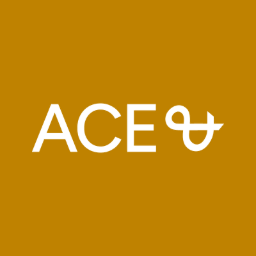 Logo ACE & Company UK Ltd.