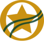 Logo The Patriot Financial Group Insurance Agency LLC