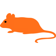 Logo Neurotar Oy