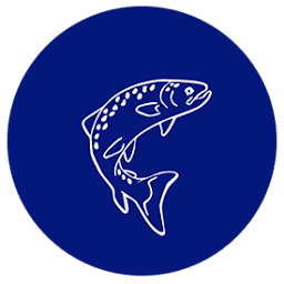 Logo SkaMik AS