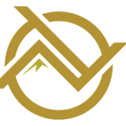 Logo Noronex Ltd.