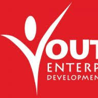 Logo Youth Enterprise Development Fund