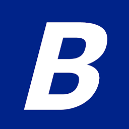 Logo Borqs Technologies, Inc.