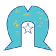 Logo Torres Strait Island Regional Council