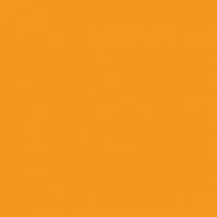 Logo PTEN Research Foundation