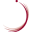 Logo Zayed University / Abu Dhabi