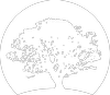 Logo Willow Oak Asset Management LLC