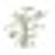 Logo Evergreen Community School